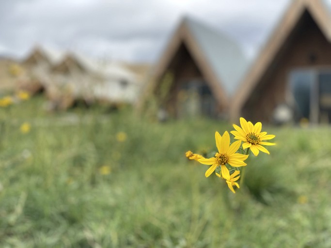 Cabins (United States of America, Emigrant, Montana)