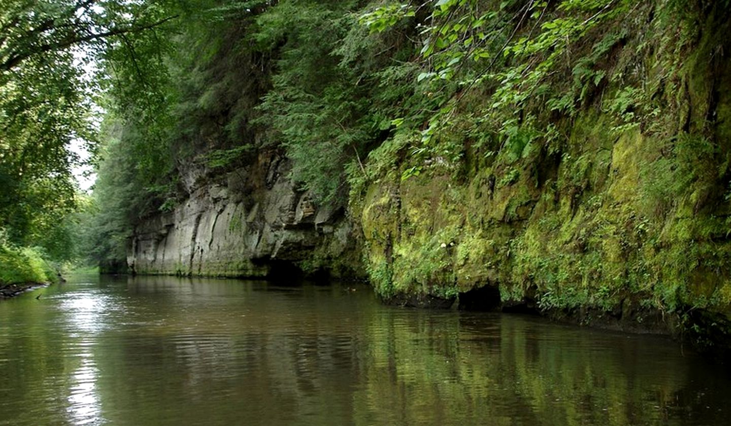 Rustic A-Frame Cabin with Beautiful Pond for Serene Getaway near La Crosse, Wisconsin
