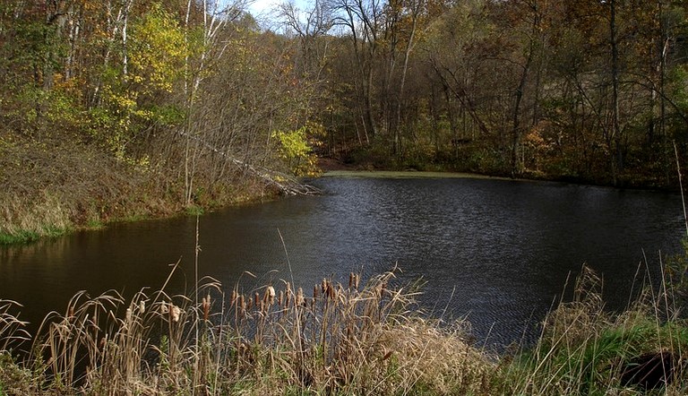 A-Frame Cabins (Hillsboro, Wisconsin, United States)