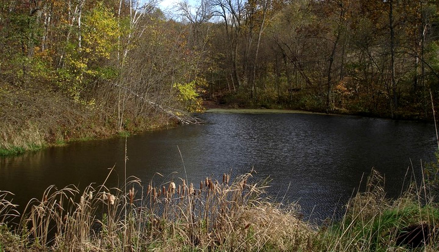 Rustic A-Frame Cabin with Beautiful Pond for Serene Getaway near La Crosse, Wisconsin