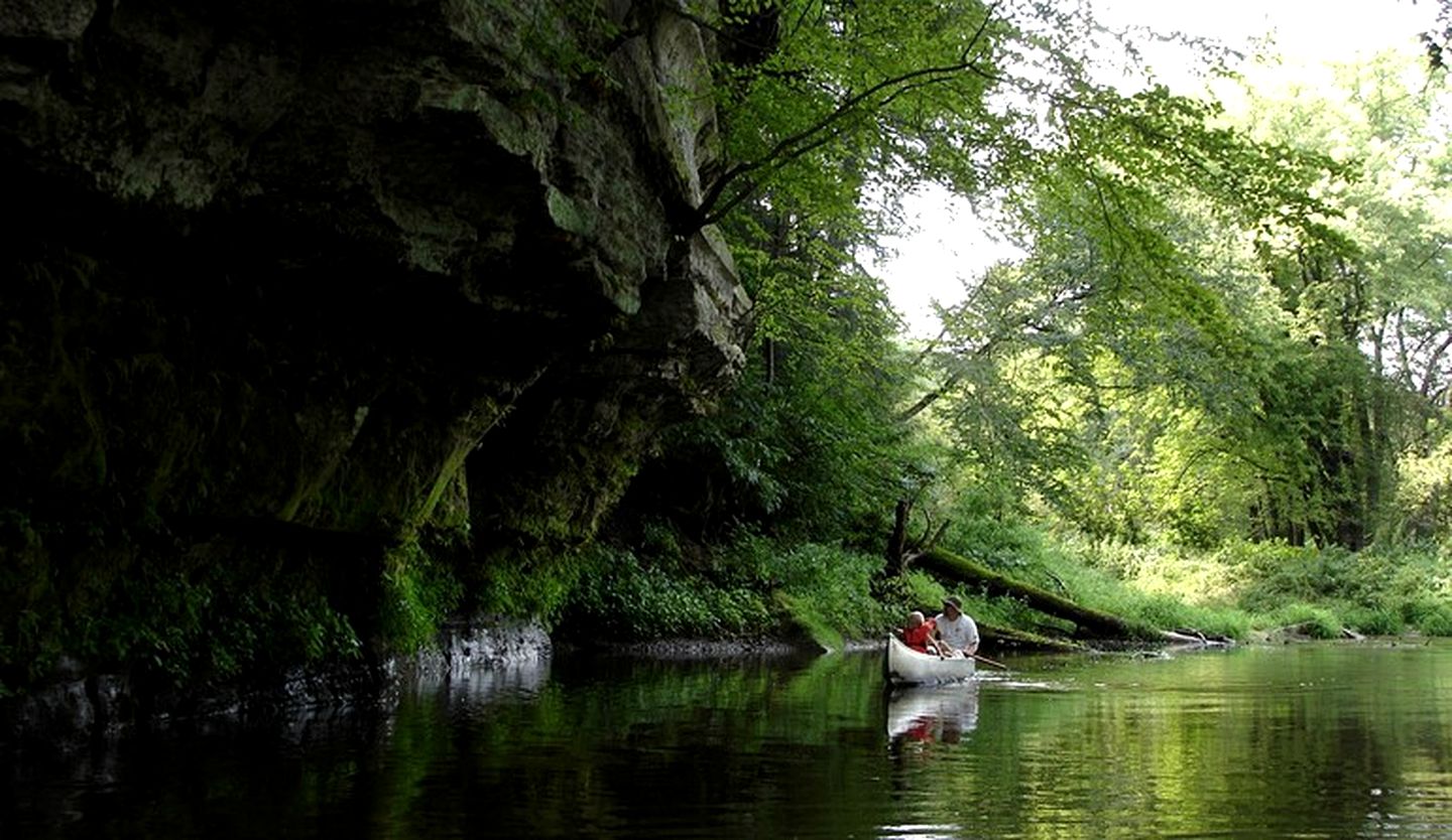 Rustic A-Frame Cabin with Beautiful Pond for Serene Getaway near La Crosse, Wisconsin