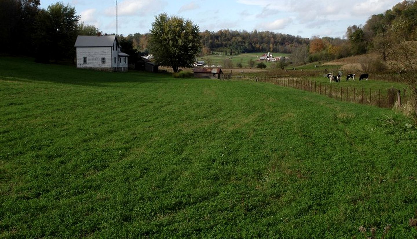 Rustic A-Frame Cabin with Beautiful Pond for Serene Getaway near La Crosse, Wisconsin