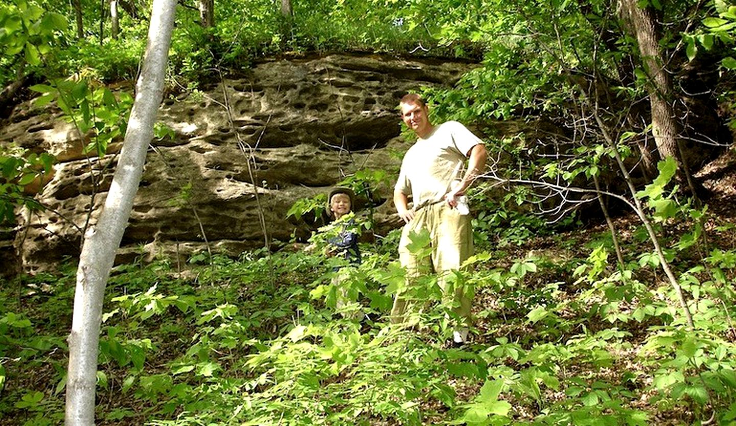 Rustic A-Frame Cabin with Beautiful Pond for Serene Getaway near La Crosse, Wisconsin
