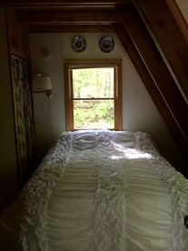 undefined photo 4
