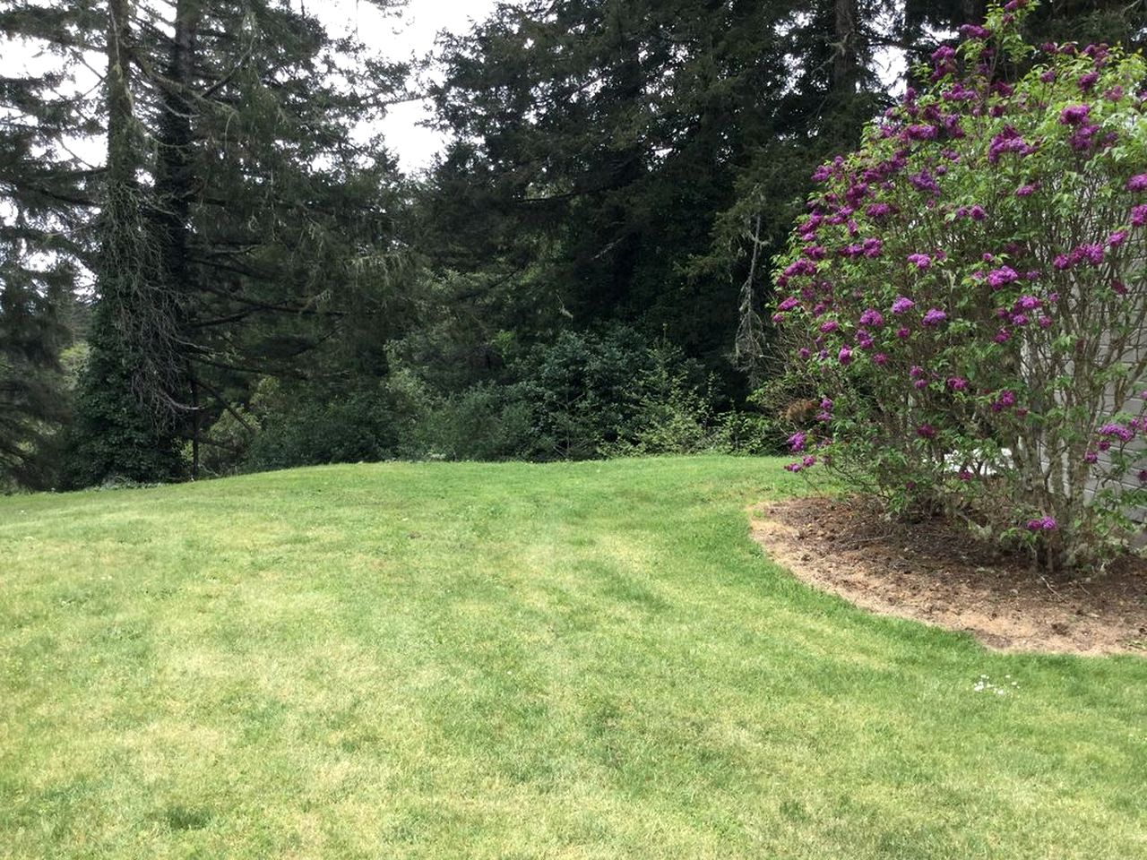 Beautiful Three-Bedroom Cottage Rental on Coquille River in Bandon, Oregon