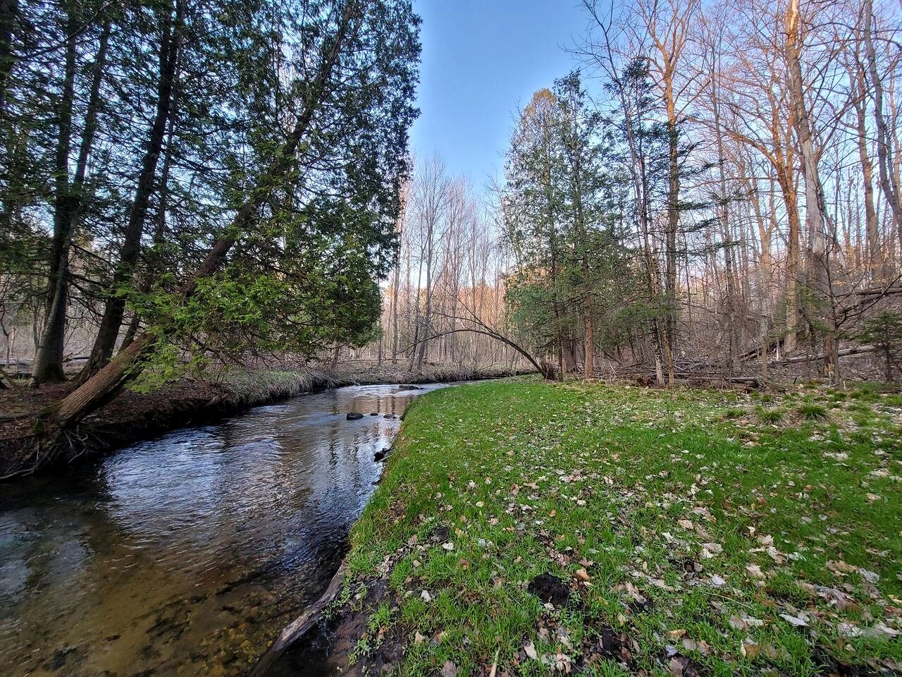 Secluded A-Frame Cabin with Private Riverfront on Little Manistee River near Tustin, Michigan