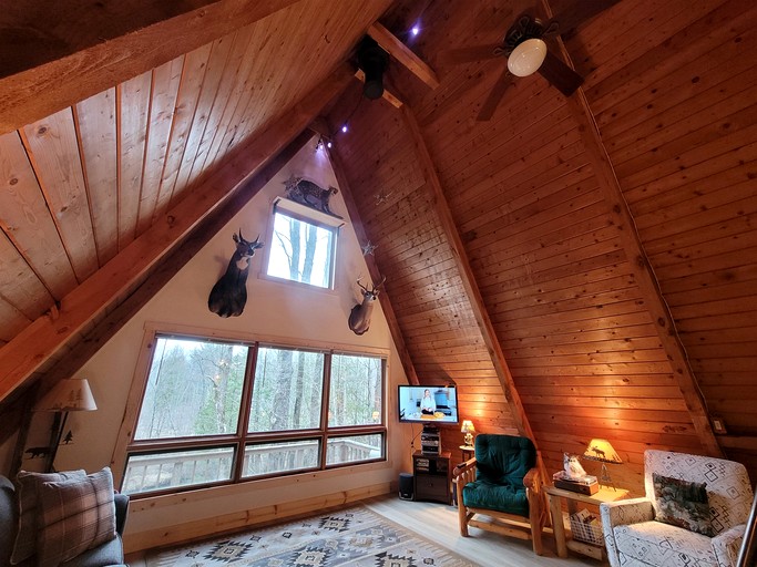 A-Frames (United States of America, --, Michigan)