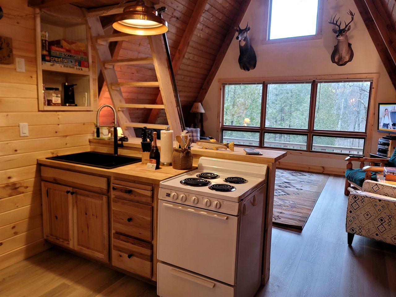 Secluded A-Frame Cabin with Private Riverfront on Little Manistee River near Tustin, Michigan