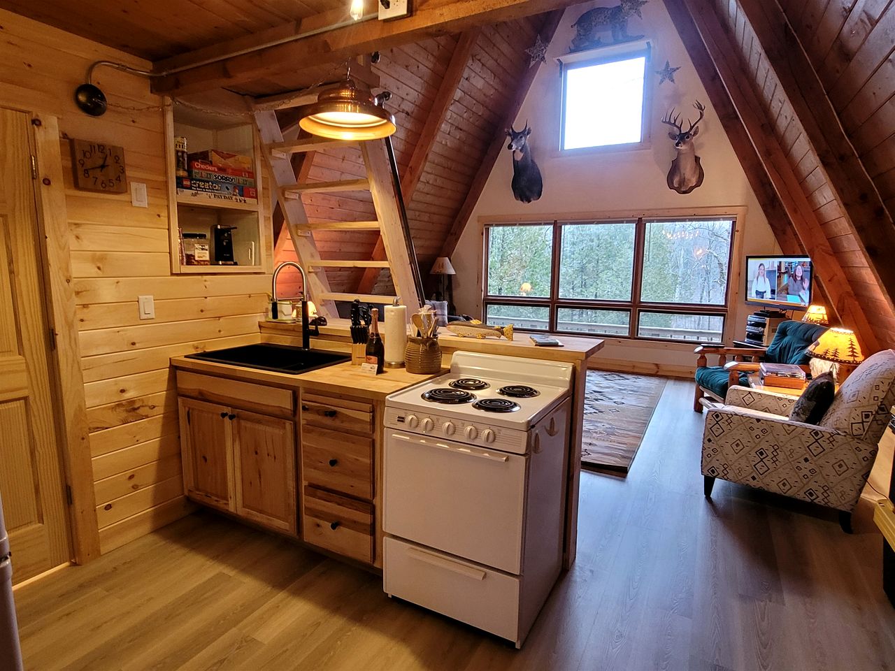 Secluded A-Frame Cabin with Private Riverfront on Little Manistee River near Tustin, Michigan