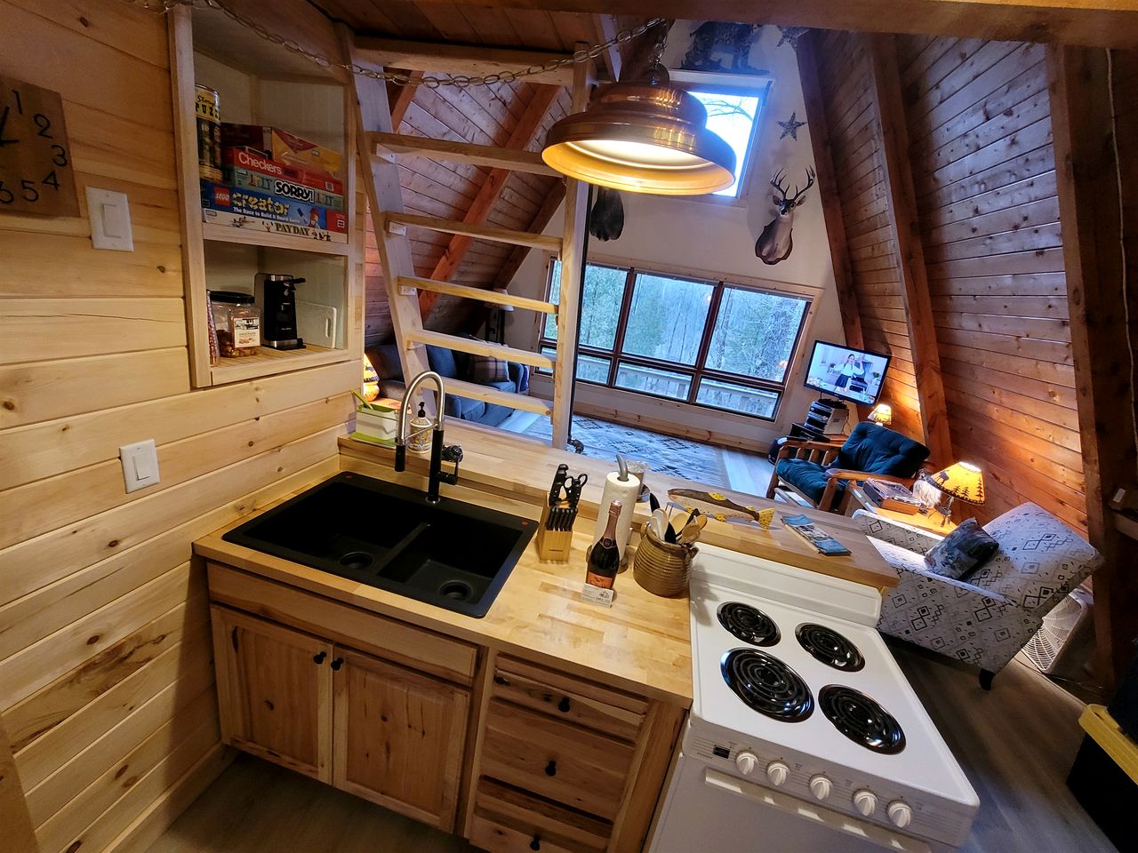 Secluded A-Frame Cabin with Private Riverfront on Little Manistee River near Tustin, Michigan