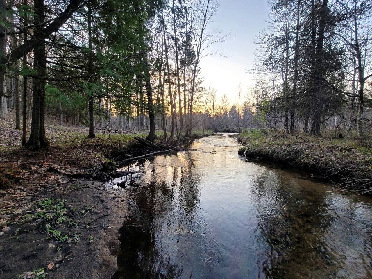 Secluded A-Frame Cabin with Private Riverfront on Little Manistee River near Tustin, Michigan