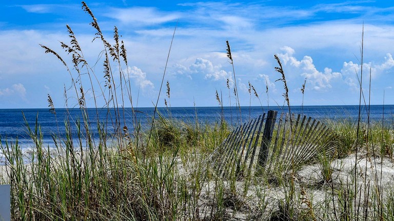 Beach Houses (United States of America, Georgetown, South Carolina)