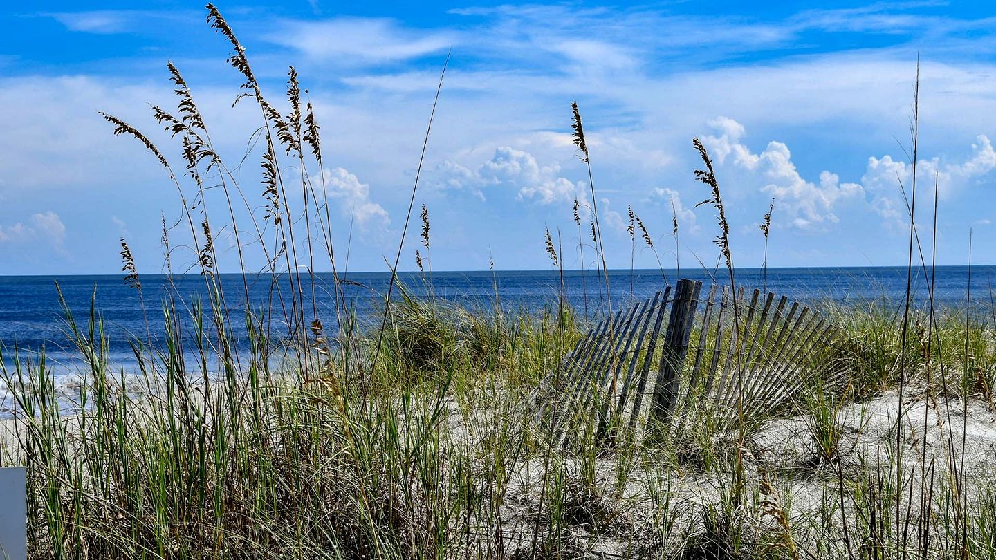 Gorgeous Pet-Friendly Oceanfront Retreat in Gated Community, Georgetown, South Carolina