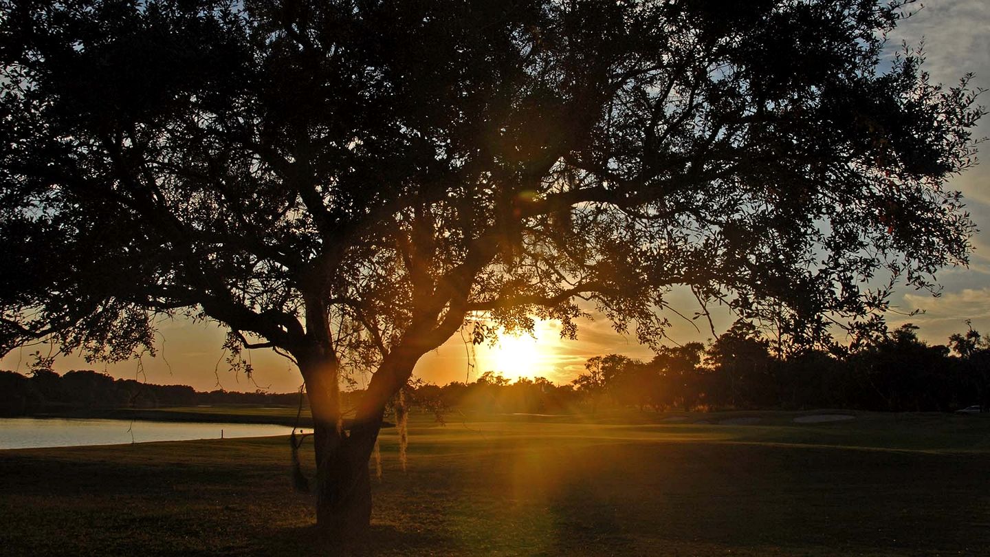 Gorgeous Pet-Friendly Oceanfront Retreat in Gated Community, Georgetown, South Carolina