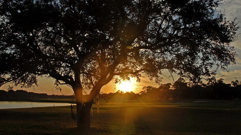 Beach Houses (United States of America, Georgetown, South Carolina)