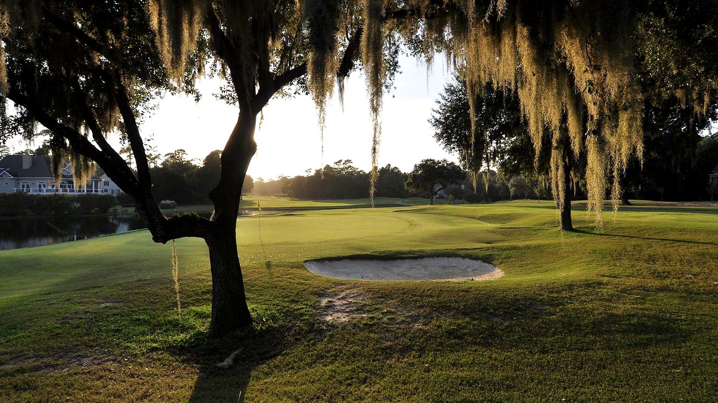 Gorgeous Pet-Friendly Oceanfront Retreat in Gated Community, Georgetown, South Carolina