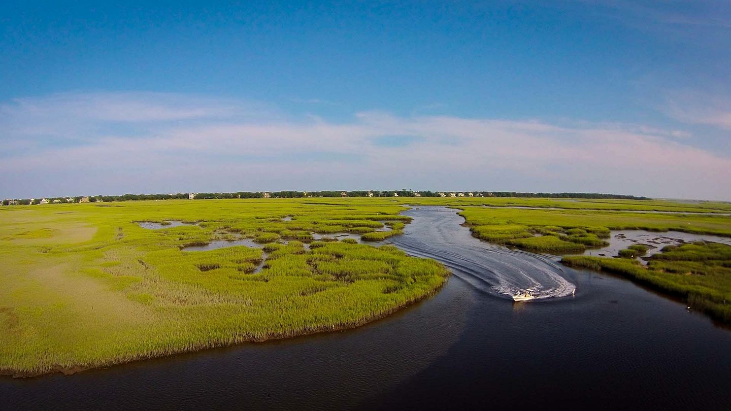 Gorgeous Pet-Friendly Oceanfront Retreat in Gated Community, Georgetown, South Carolina