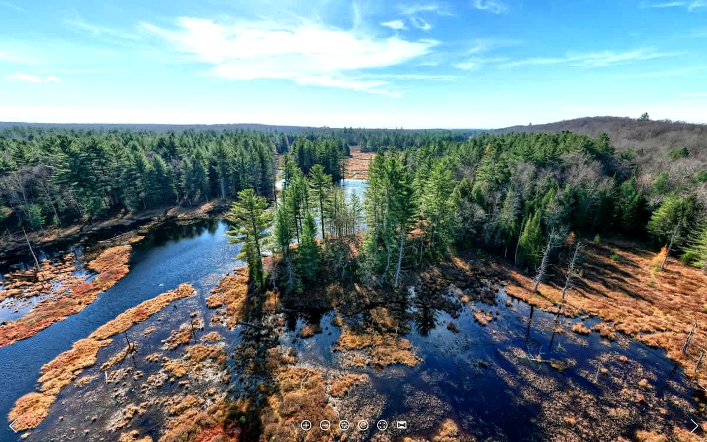 Secluded and Off-Grid, Pet Friendly Cabin on Private Pond in Glenfield, New York