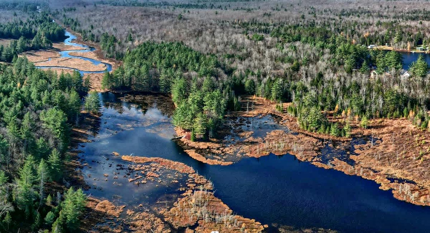 Secluded and Off-Grid, Pet Friendly Cabin on Private Pond in Glenfield, New York