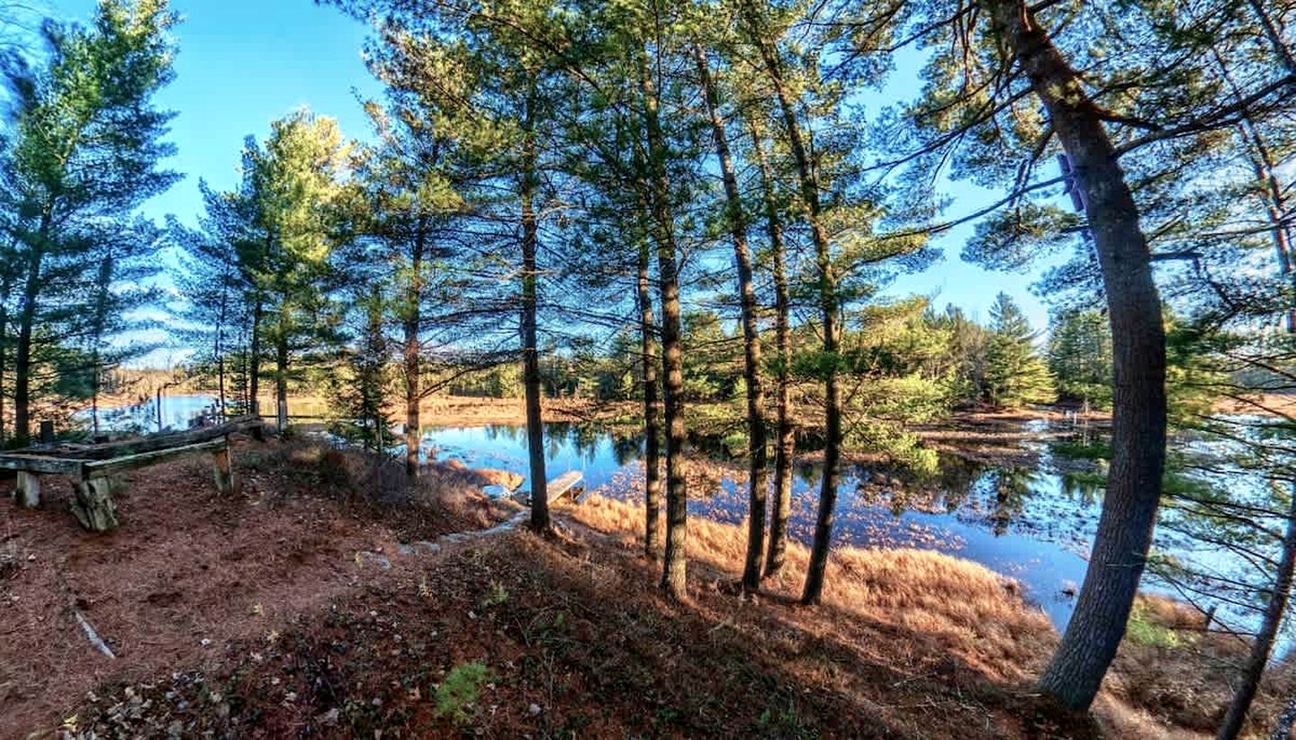Secluded and Off-Grid, Pet Friendly Cabin on Private Pond in Glenfield, New York