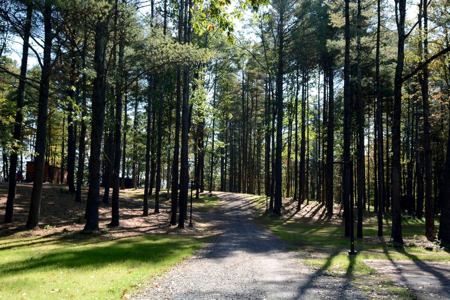 Gorgeous Tiny House Perfect for a Romantic Getaway near Woodstock, New York