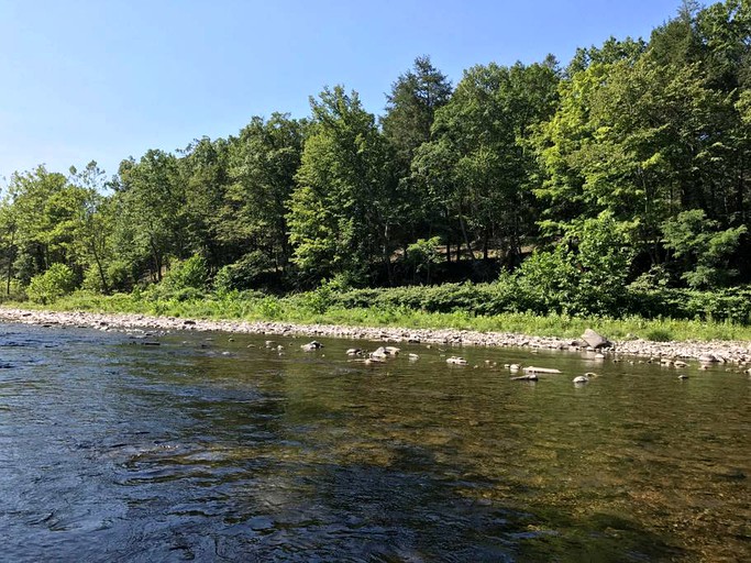 Tiny Houses (South Cairo, New York, United States)