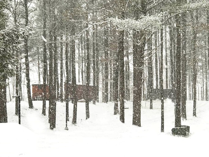 Tiny Houses (South Cairo, New York, United States)