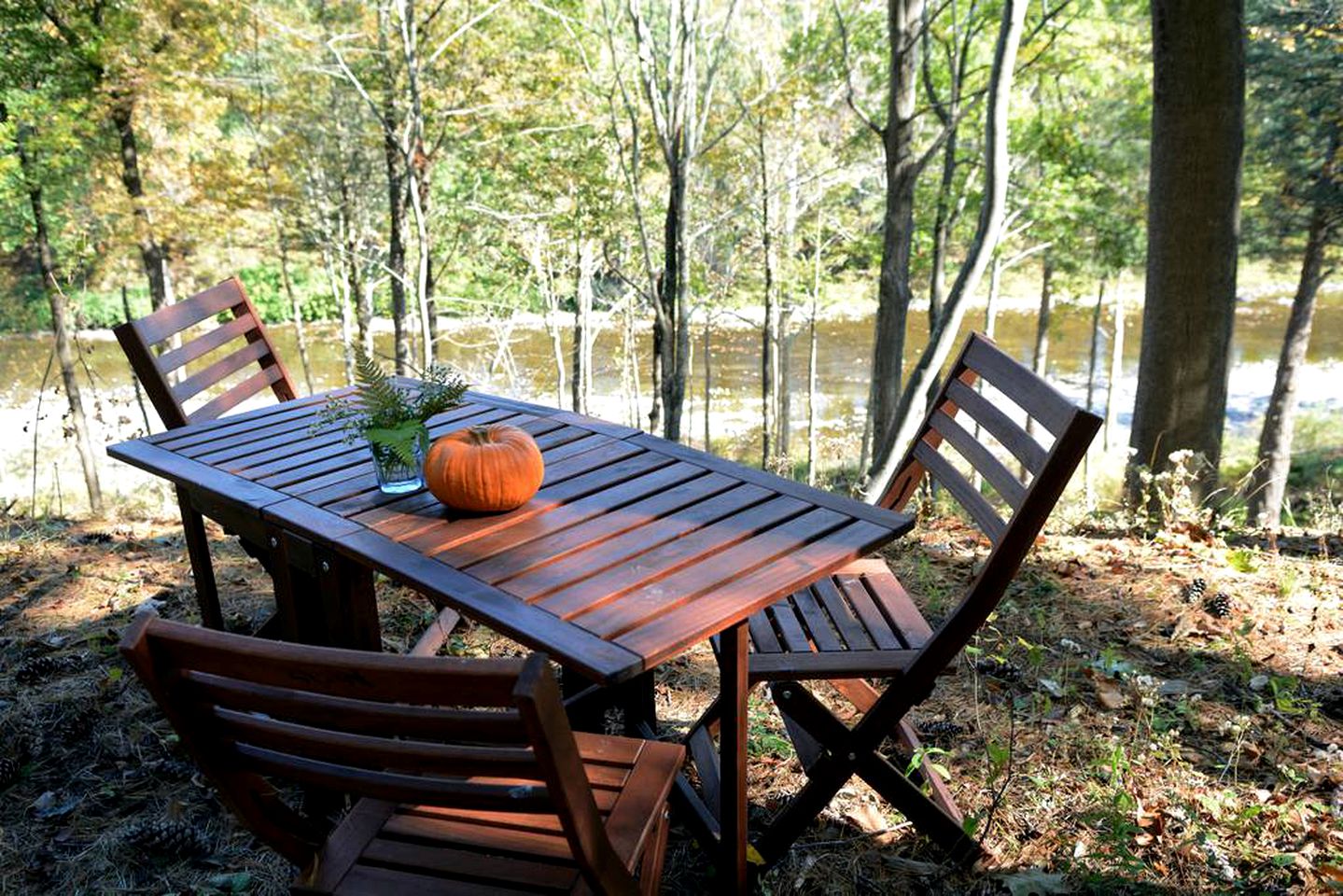 Idyllic Tiny House Perfect for a Weekend Getaway near Albany, New York