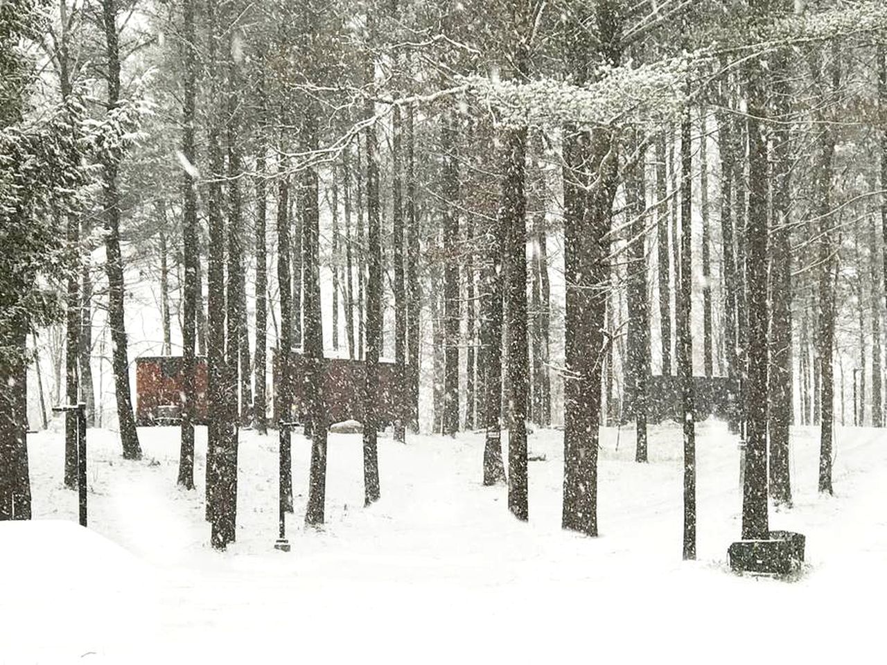 Charming Tiny House Rental for a Woodland Vacation near Woodstock, New York