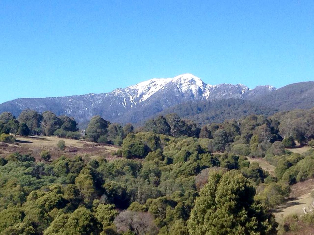 Charming Countryside Cottage Rental in Mansfield Mount Buller, Australia