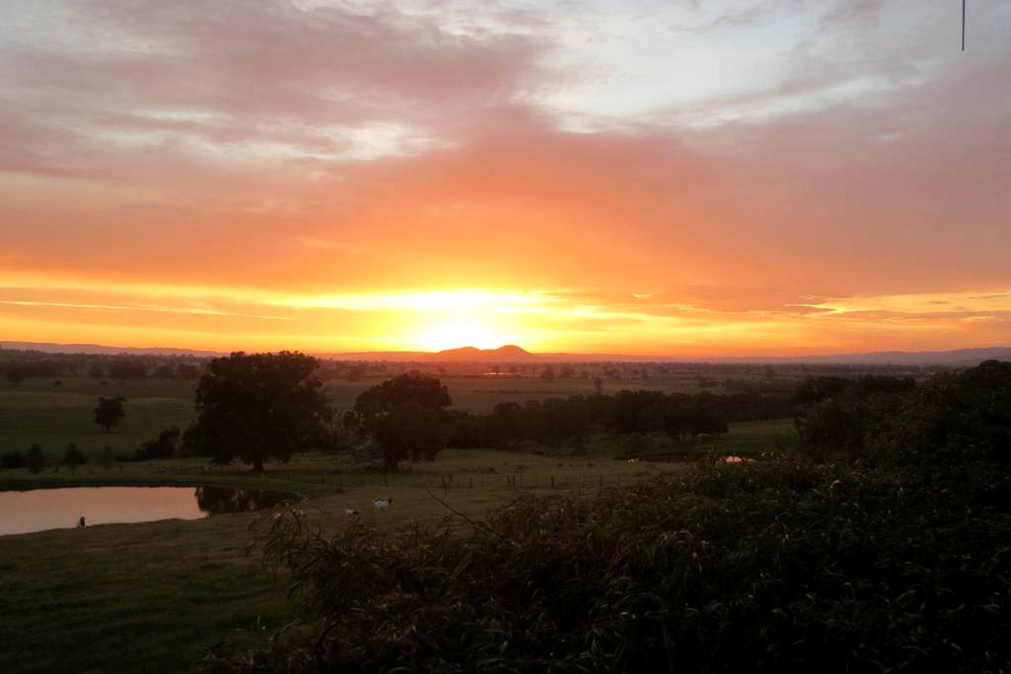 Charming Countryside Cottage Rental in Mansfield Mount Buller, Australia