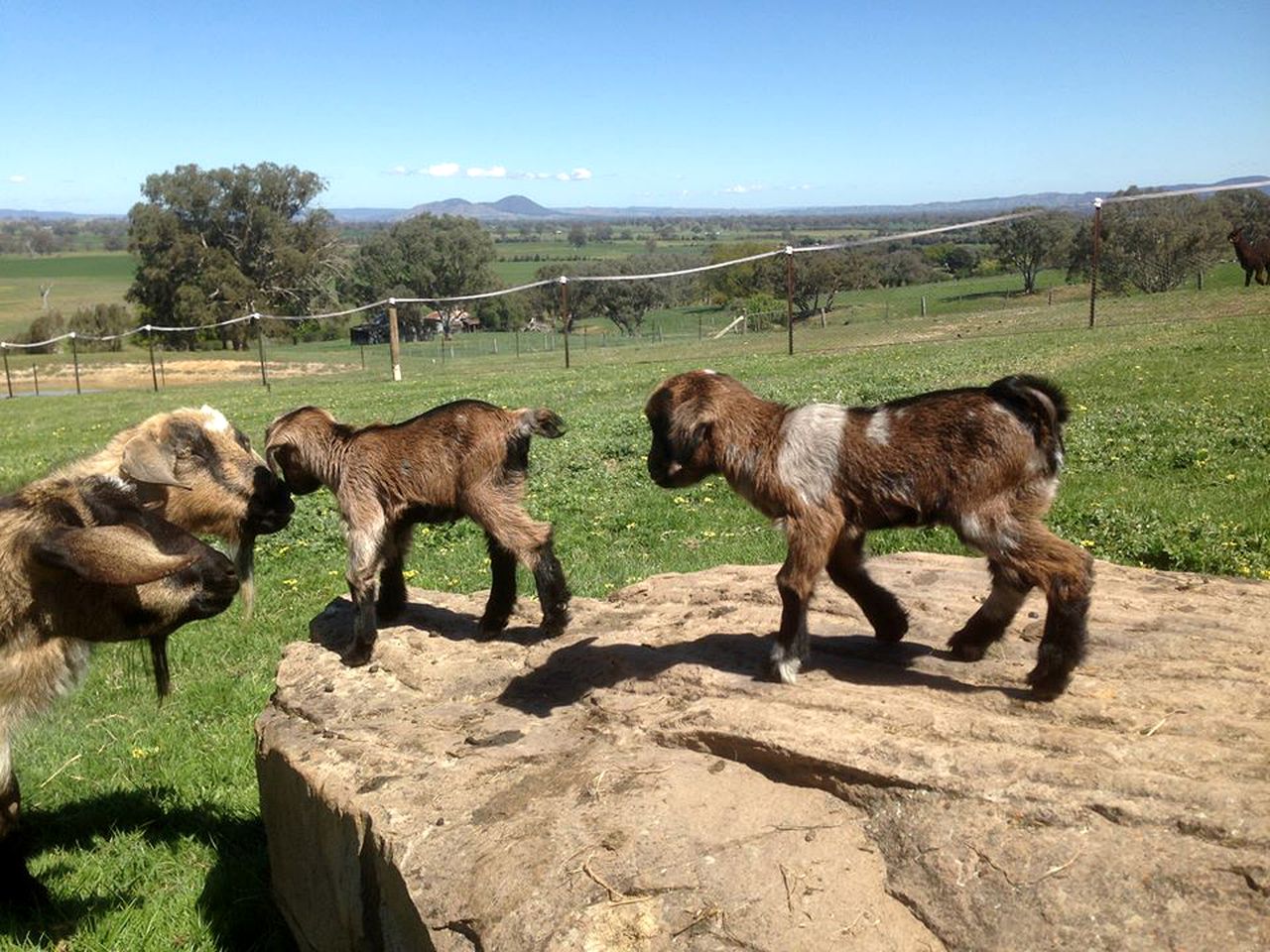 Charming Countryside Cottage Rental in Mansfield Mount Buller, Australia