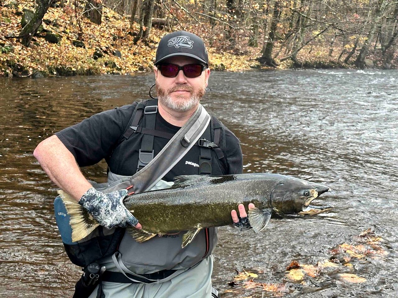Cozy Three-Bedroom Cabin Near The Salmon River in Altmar, New York