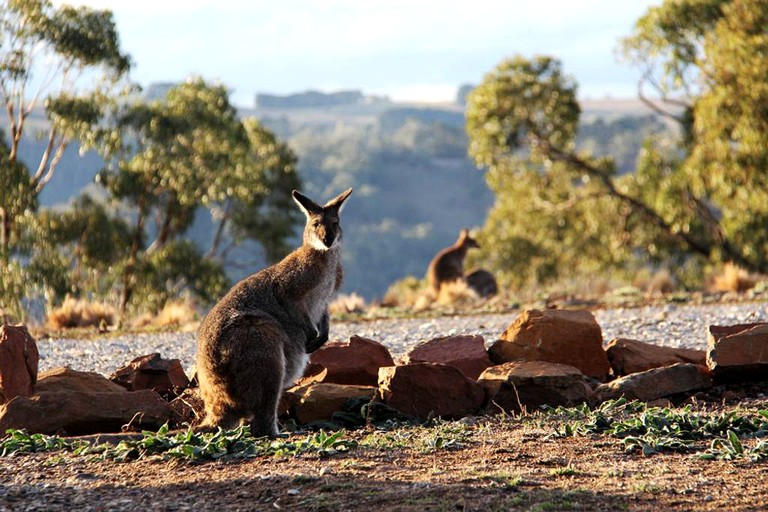 Barns (Curraweela, New South Wales, Australia)