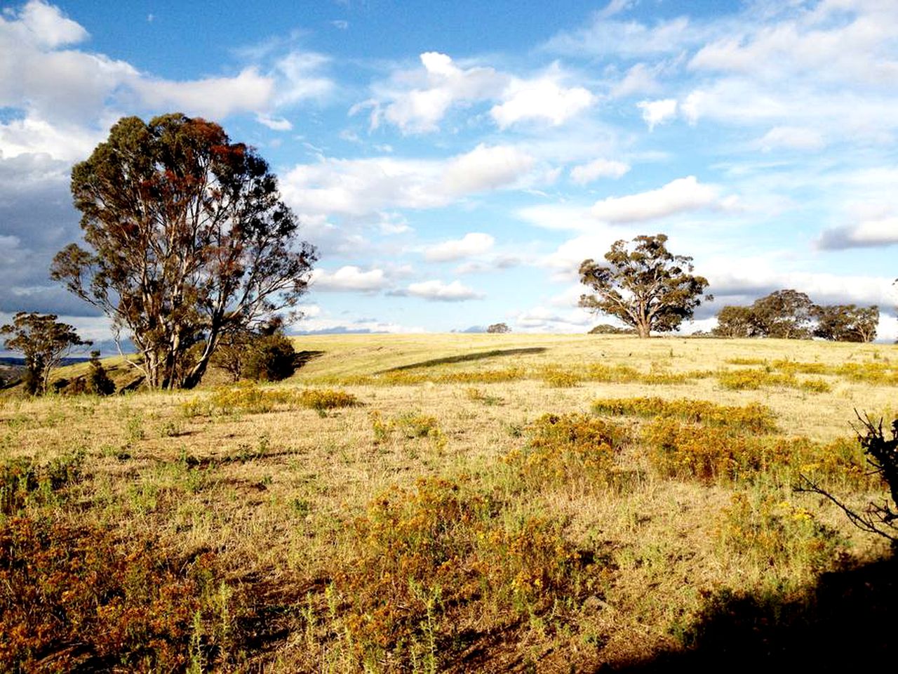 Converted Barn Accommodation for Unique Holiday in the Southern Tablelands, NSW