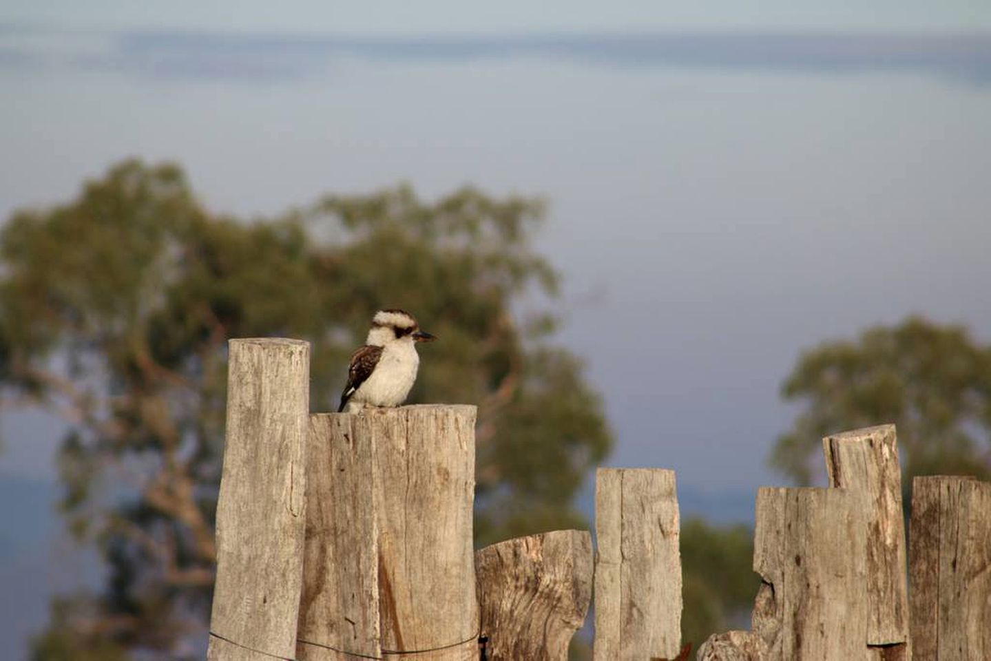 Converted Barn Accommodation for Unique Holiday in the Southern Tablelands, NSW