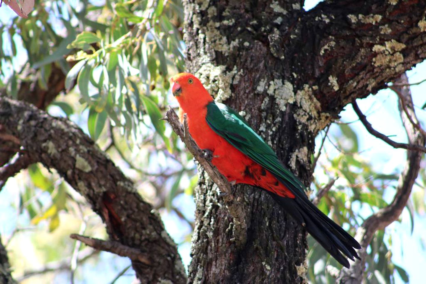 Converted Barn Accommodation for Unique Holiday in the Southern Tablelands, NSW