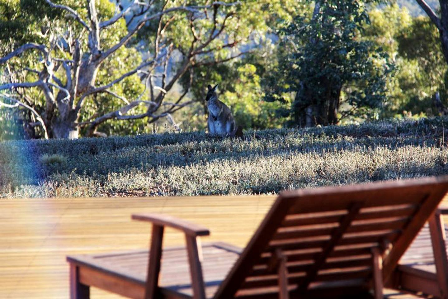 Converted Barn Accommodation for Unique Holiday in the Southern Tablelands, NSW