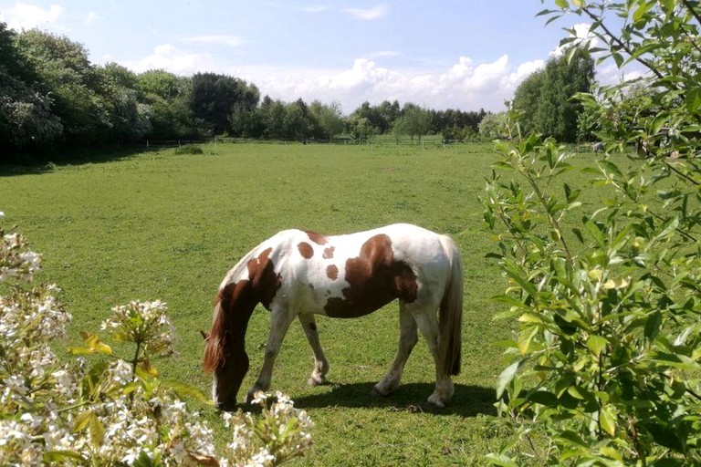 Villas (United Kingdom, --, --)