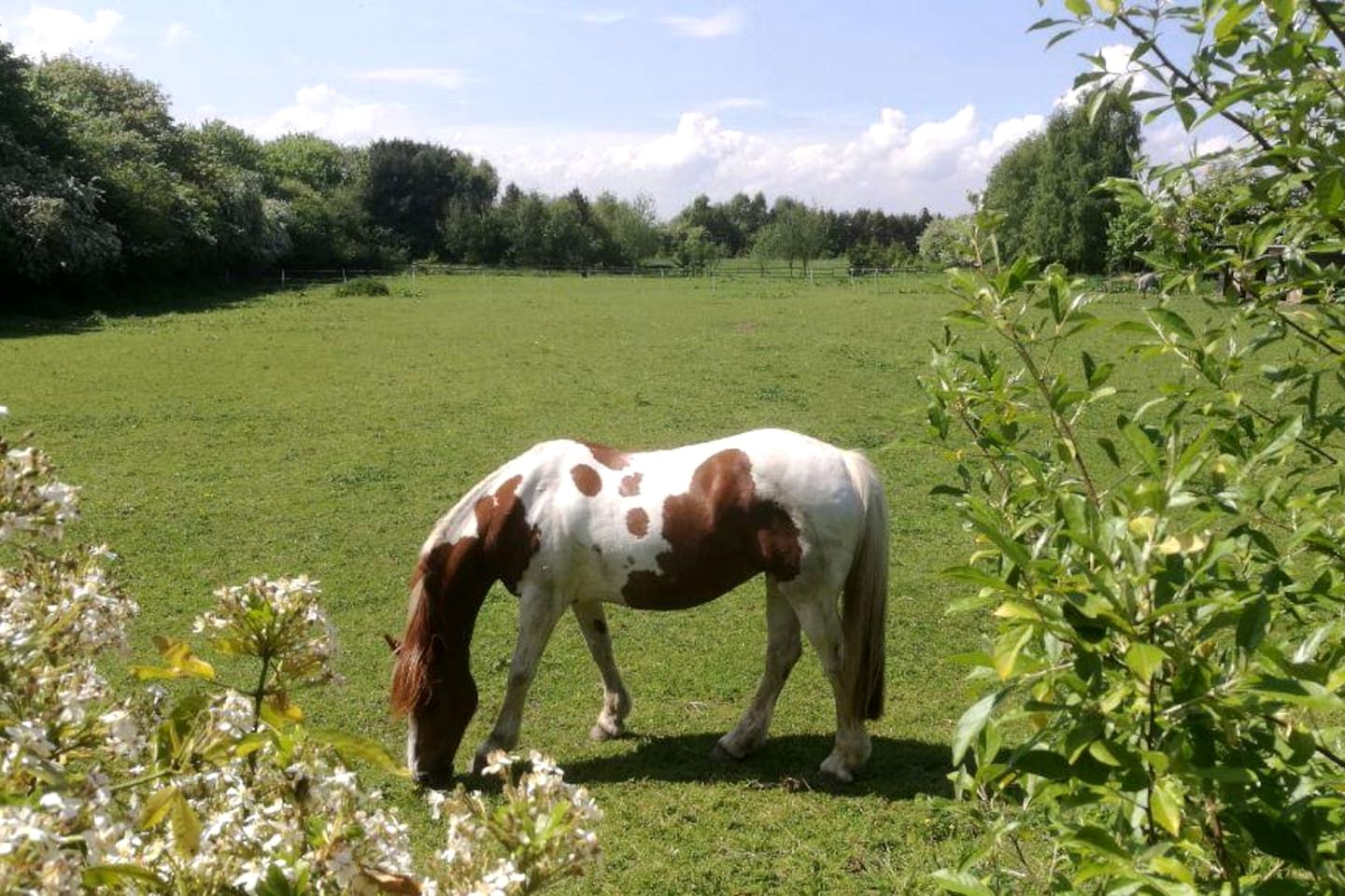 Luxurious Country Villa Retreat with Indoor Pool, Cinema & Spa Near Oxfordshire Countryside