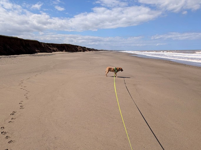 Villas (United Kingdom, --, --)