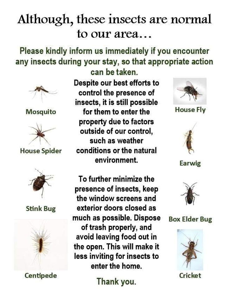 Chic Tiny House with Hot-Tub in Orderville, Utah