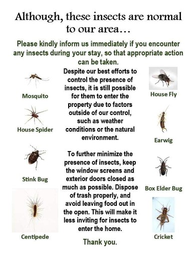 Tiny Houses (United States of America, Orderville, Utah)