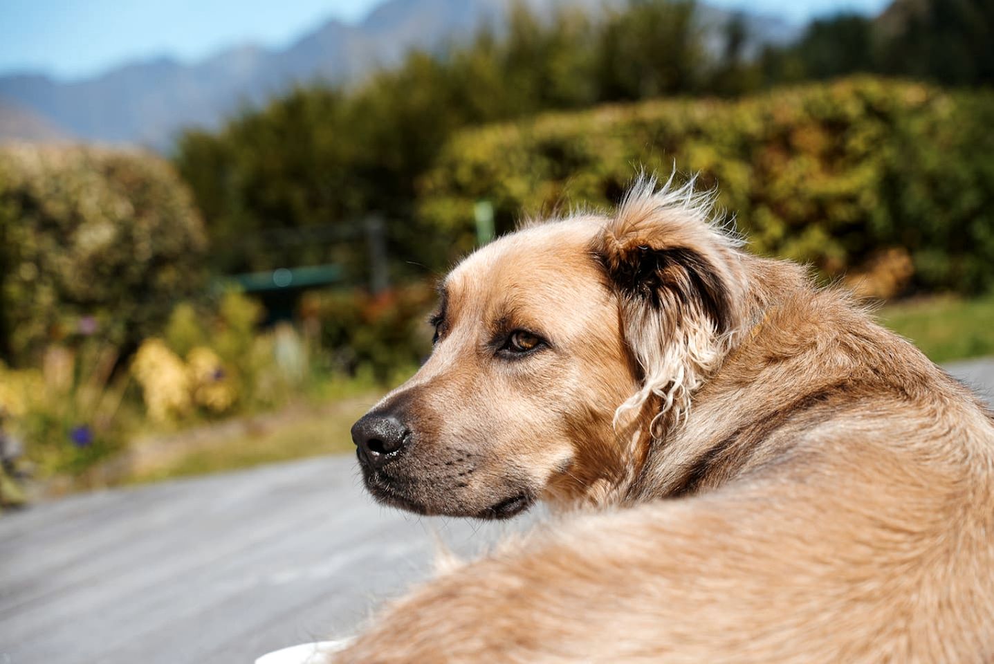 Charming Accommodation in Queenstown with Lake Wakatipu Views