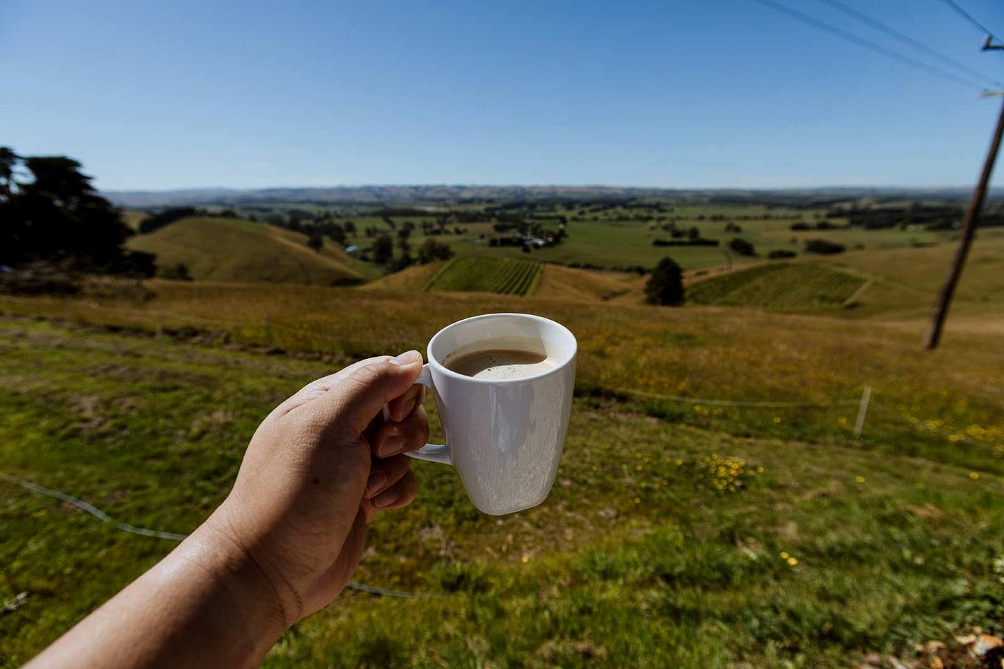 Tiny House Accommodation near Wilsons Prom Perfect for a Glamping Getaway