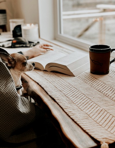 Cottages (United States of America, Sequim, Washington)