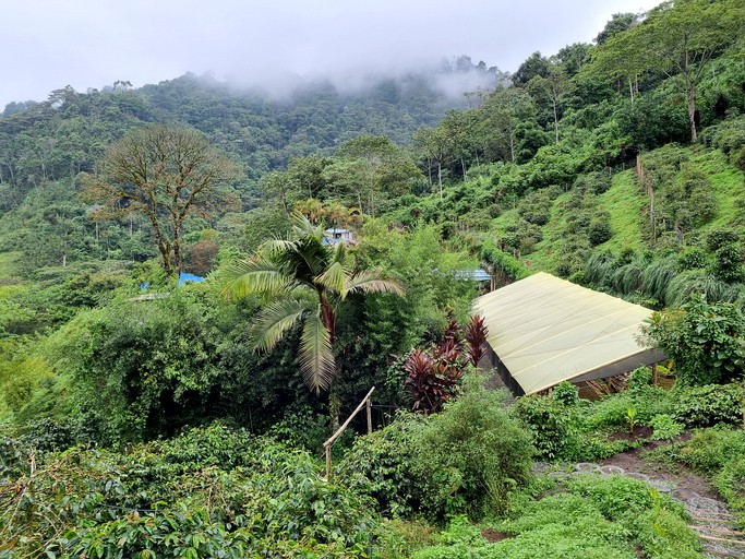Cabins (Colombia, Córdoba, Quindío)