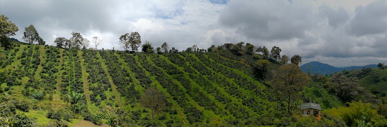Cabins (Colombia, Córdoba, Quindío)