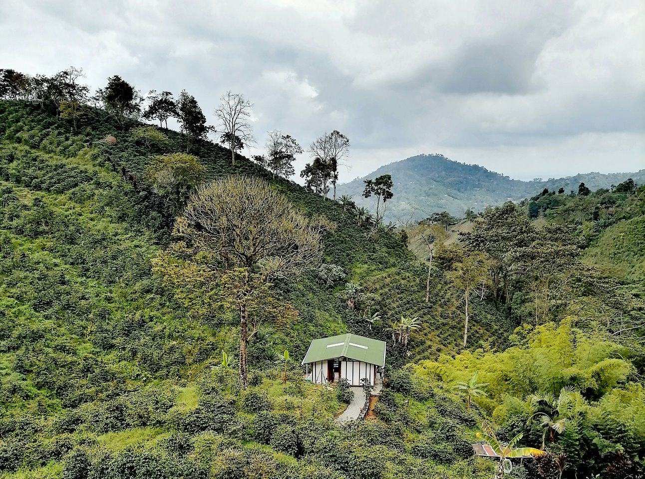 Cozy Mountain Cabin with Perfect for a Romantic Retreat in Colombia