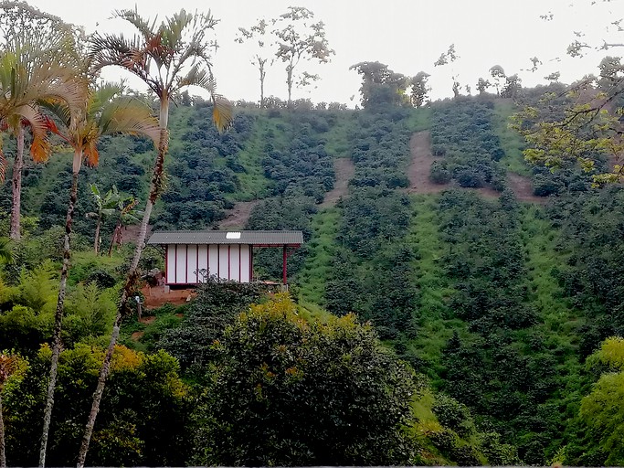 Cabins (Colombia, Córdoba, Quindío)
